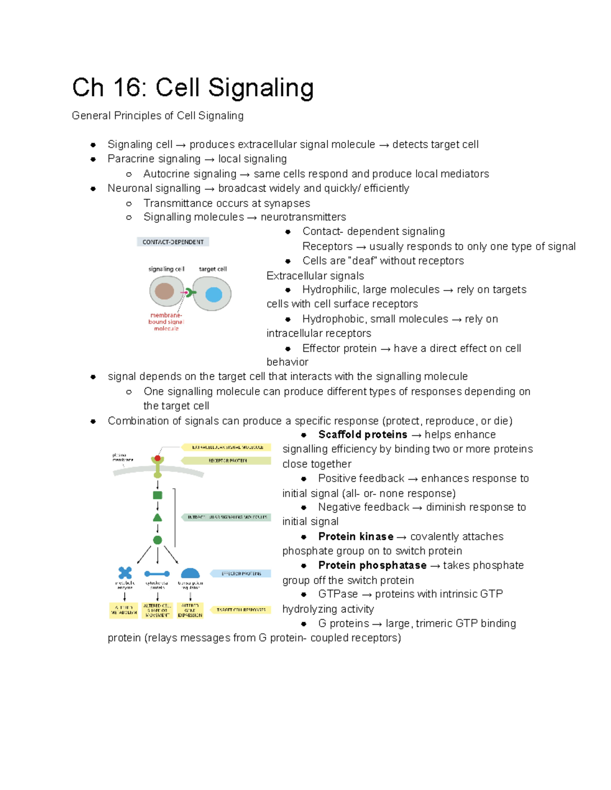 BISC305 F20Laverty E 2 - Ch 16: Cell Signaling General Principles of ...