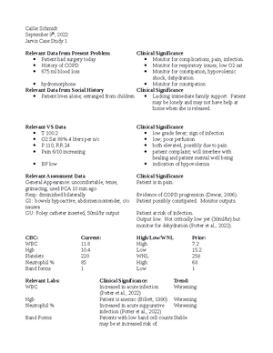 Exam+2+Blueprint+2 - Exam blueprint - Mennonite College of Nursing ...