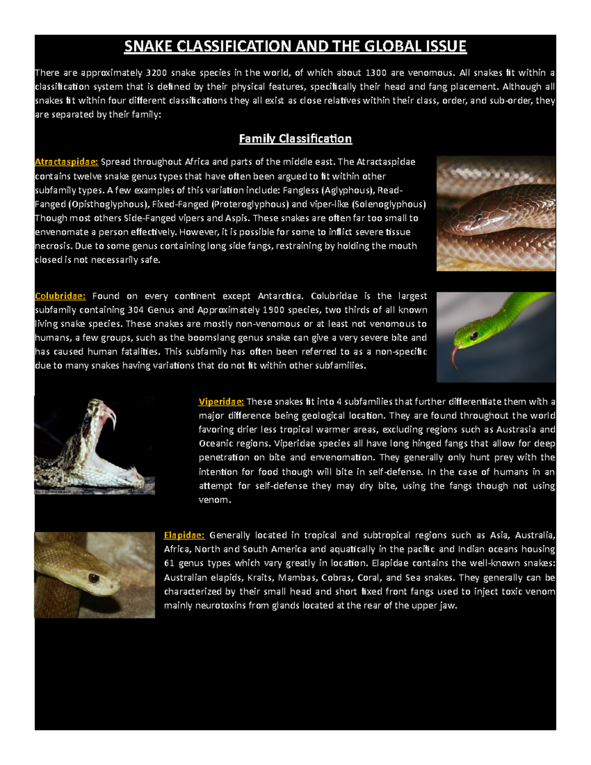 Exemplar Snakes-and-Venom 1 - SNAKE CLASSIFICATION AND THE GLOBAL ISSUE ...