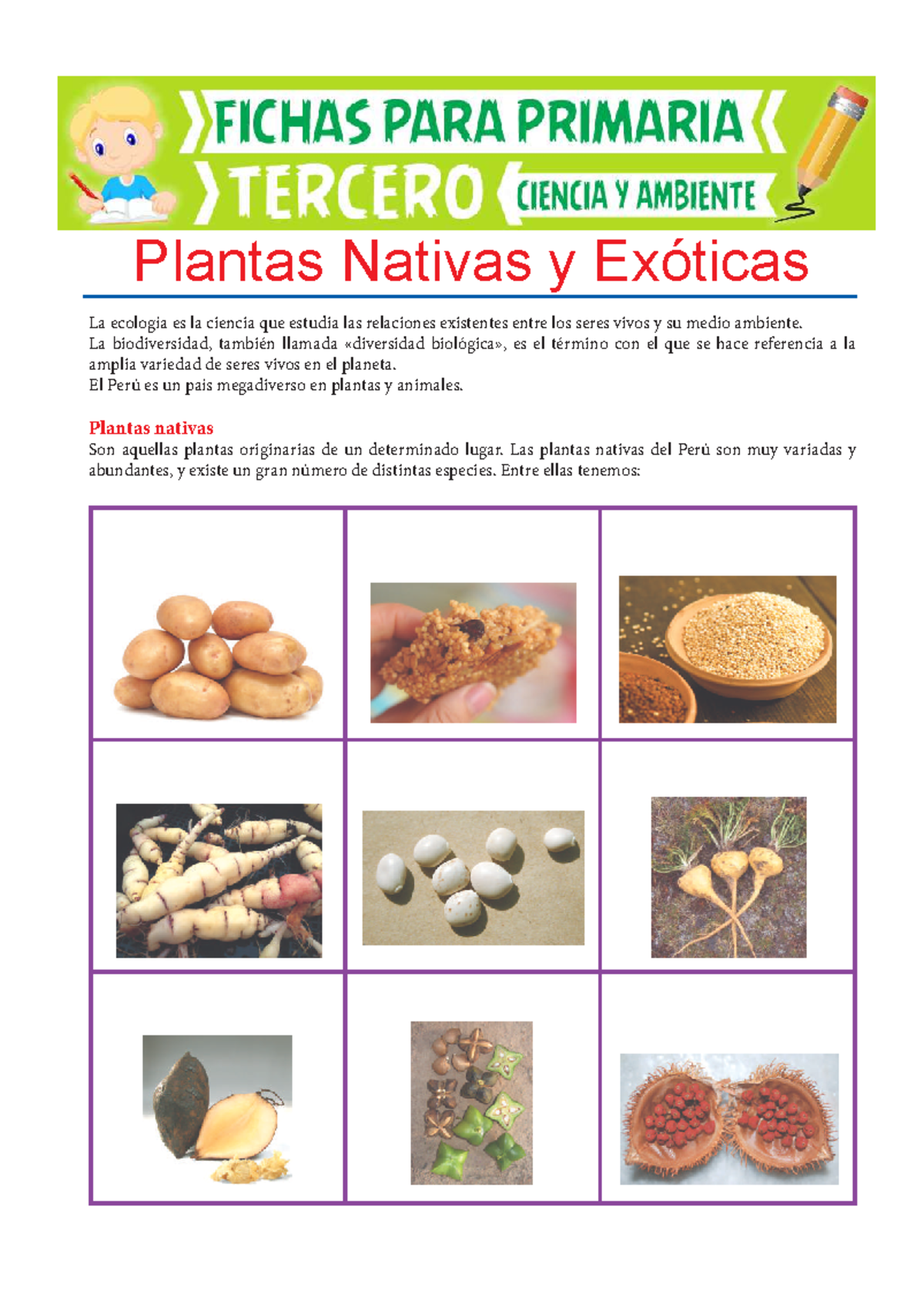 Plantas Nativas y Exóticas para Tercero de Primaria - La ecología es la ...