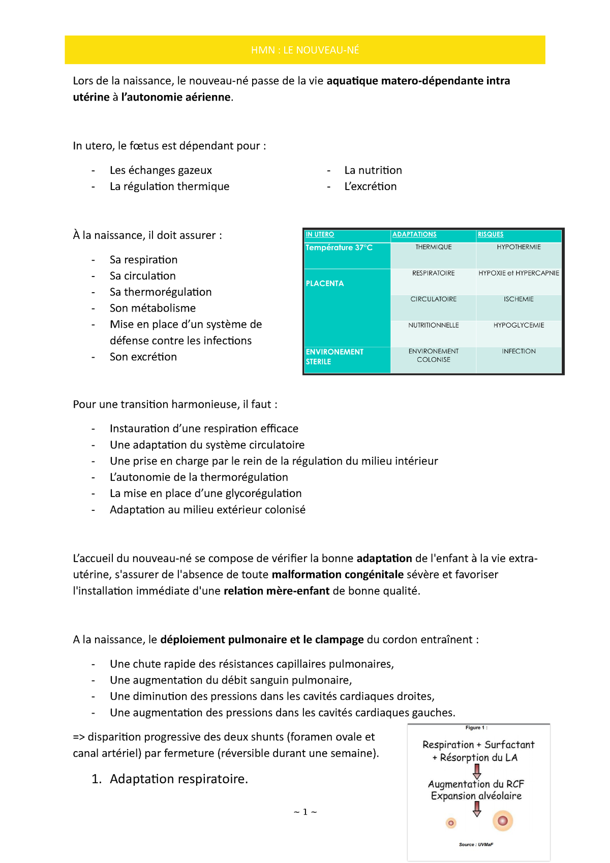 2-Adaptation-du-nouveau-né - Lors de la naissance, le nouveau-né