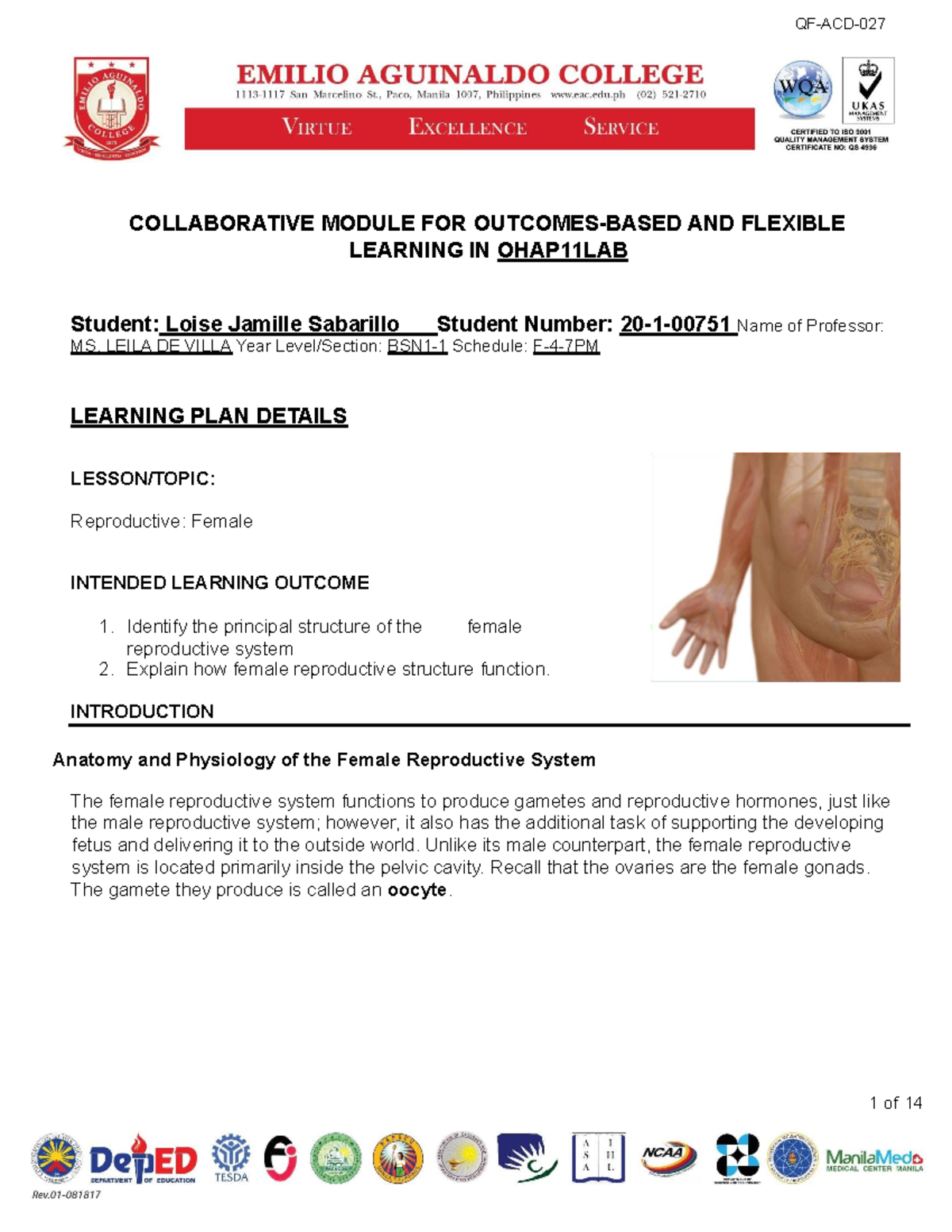 Sabarillo Module -Lab-Activity-Female-Reproductive-EAC-M ...