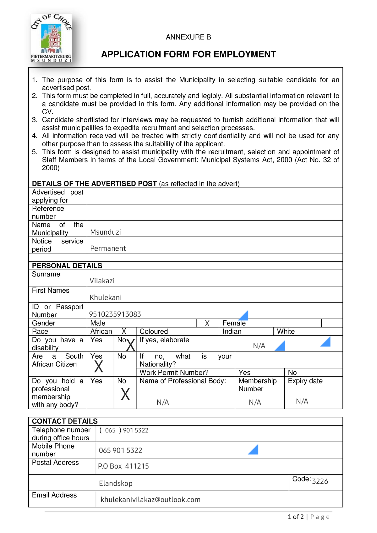 Application Form Blank - 1 Of 2 | P A G E ANNEXURE B APPLICATION FORM ...