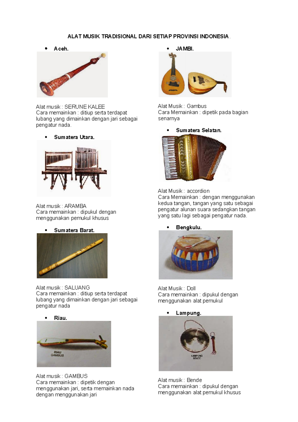 ALAT Musik Tradisional 34 Provinsi Indonesia - ALAT MUSIK TRADISIONAL