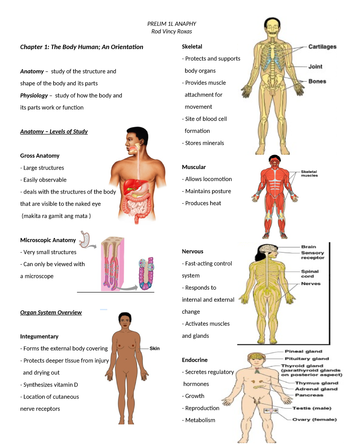 Prelim Ana Phy - nursing - Rod Vincy Roxas Chapter 1: The Body Human ...