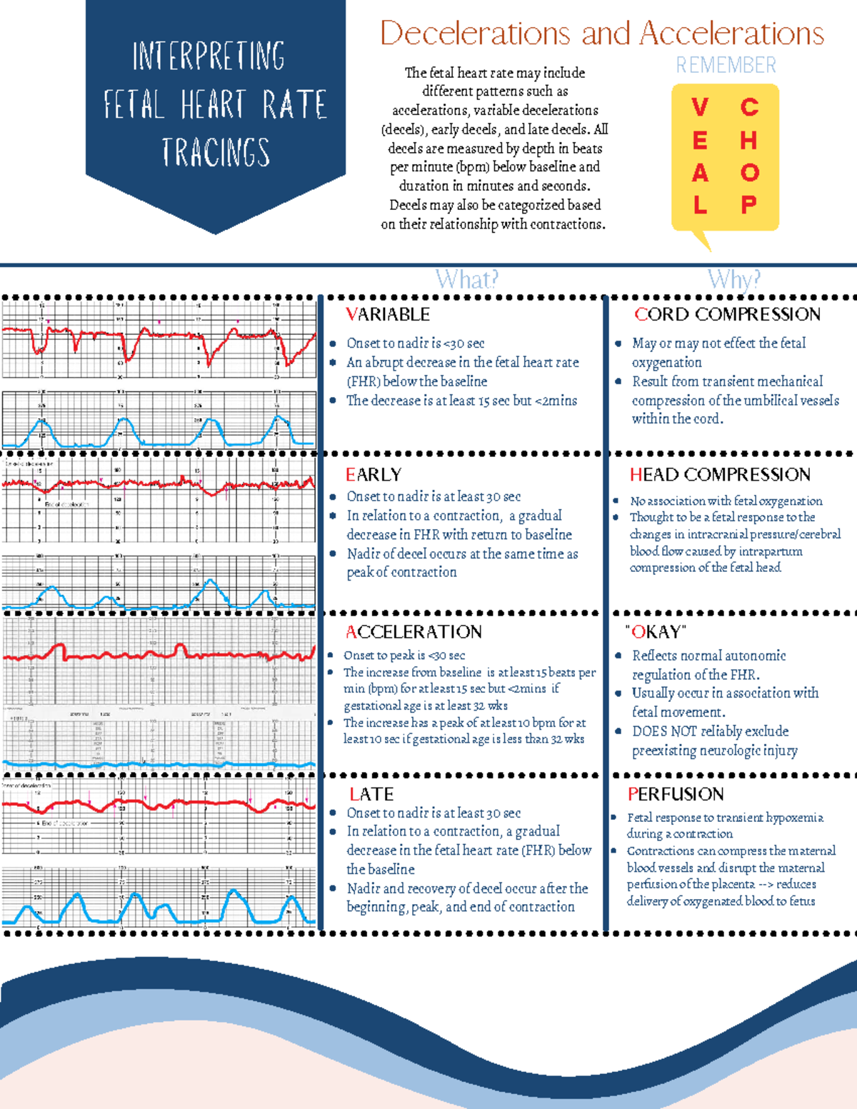 The Basics Interpreting Fetal Heart Rate Tracings - Interpreting fetal ...