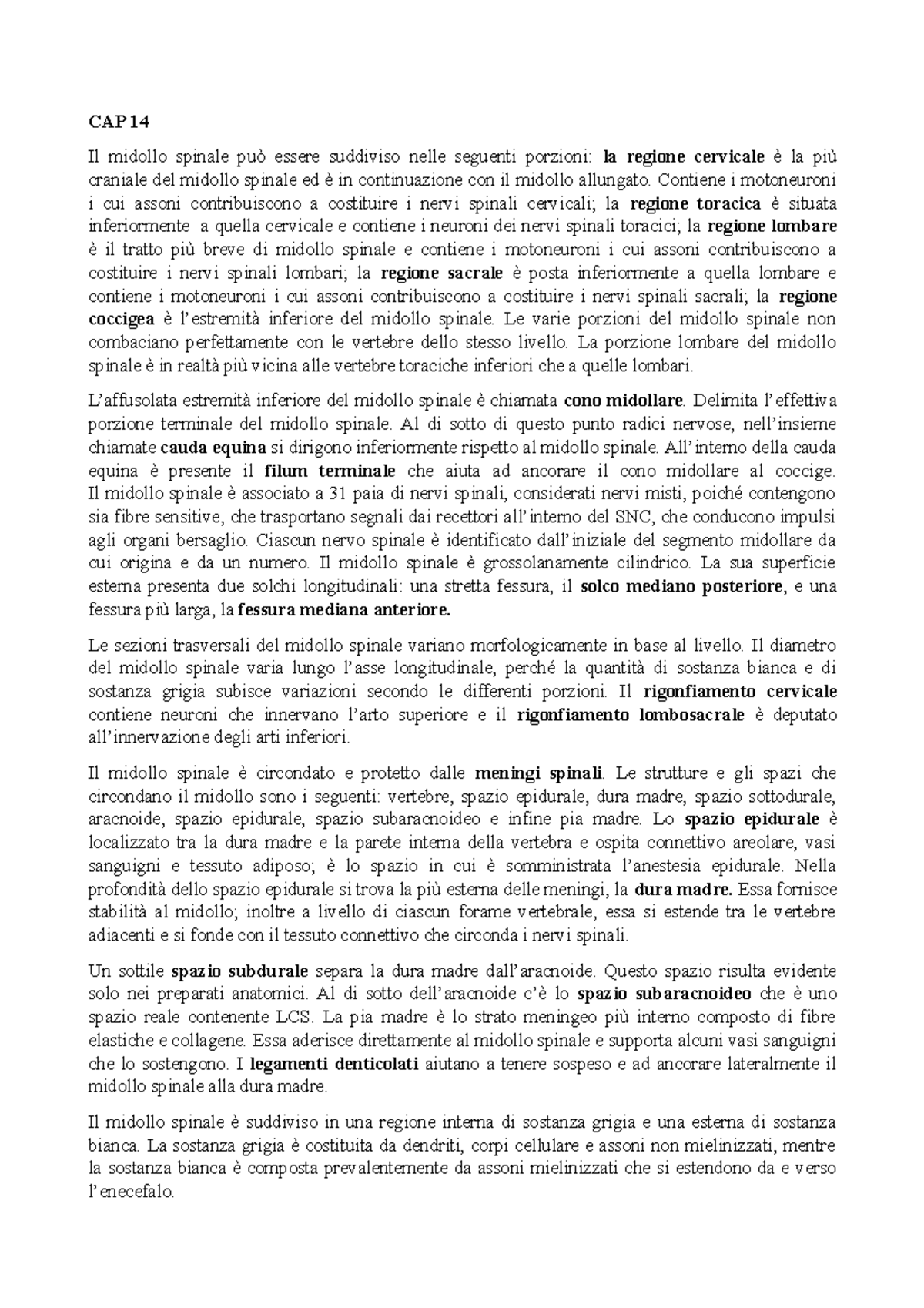 CAP 14 - Riassunto Cap 14 Fisiologia, Continuazione Del Sistema Nervoso ...