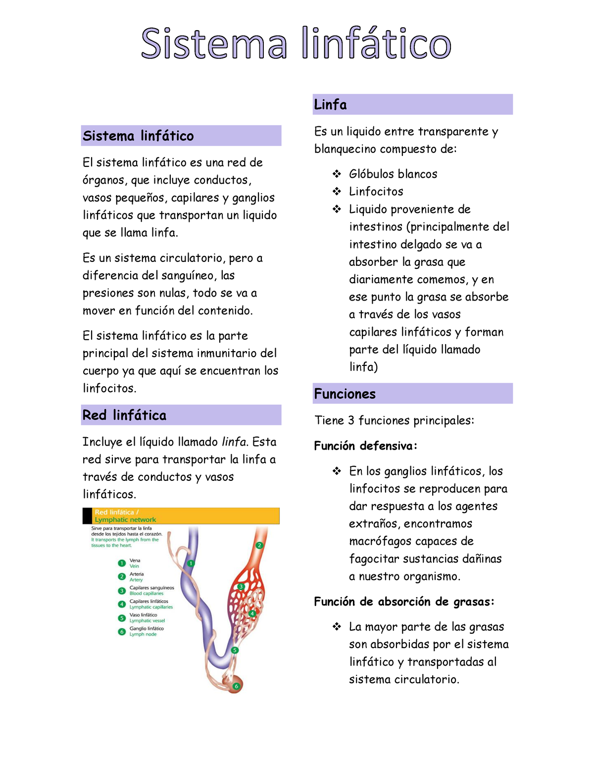 Sistema%20 Linfatico-convertido - Sistema Linf·tico El Sistema Linf ...