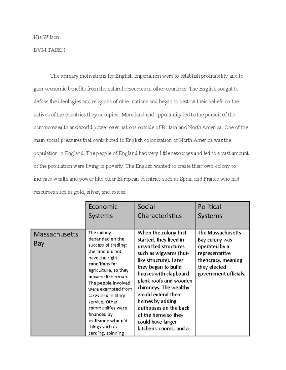 BVM Task 1 - BVM Task 1 - Nia Wilson BVM TASK 1 The primary motivations ...