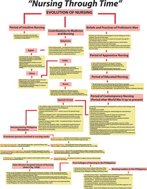 Anaphy Prelims Reviewer - AN INTRODUCTION TO THE HUMAN BODY 1 Anatomy ...