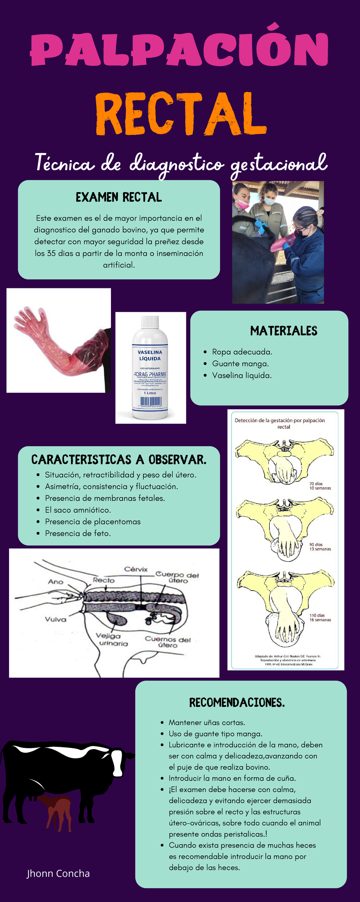 Palpacion Rectal Holaaa PalpaciÓn Rectal Técnica De Diagnostico