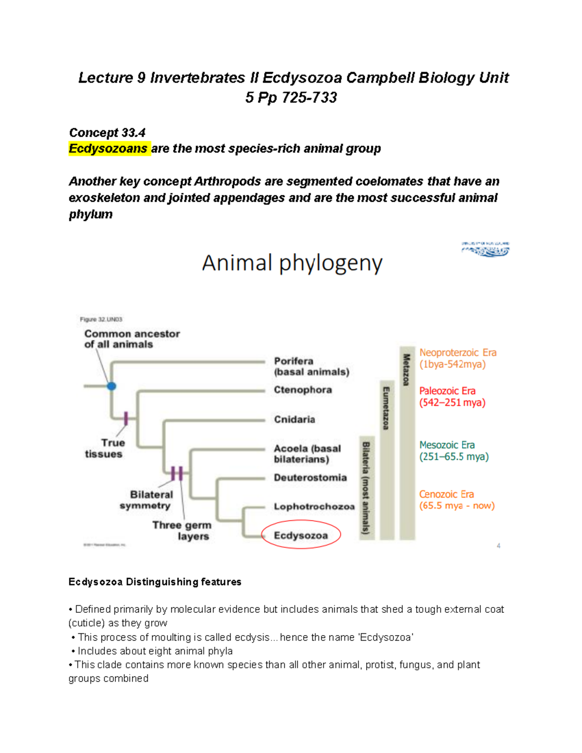 Animal and the Environment - Lecture 9 Invertebrates II Ecdysozoa ...