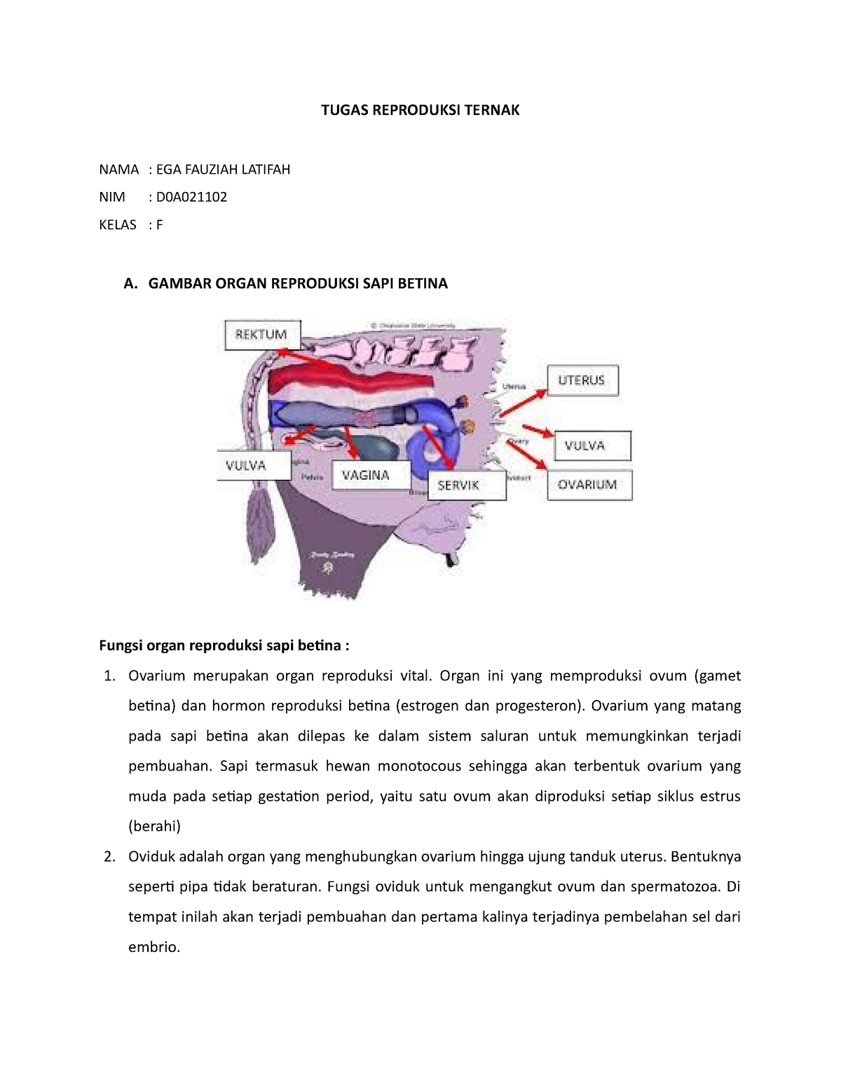 Catatan Matkul Reproduksi Ternak Tugas Reproduksi Ternak Nama Ega