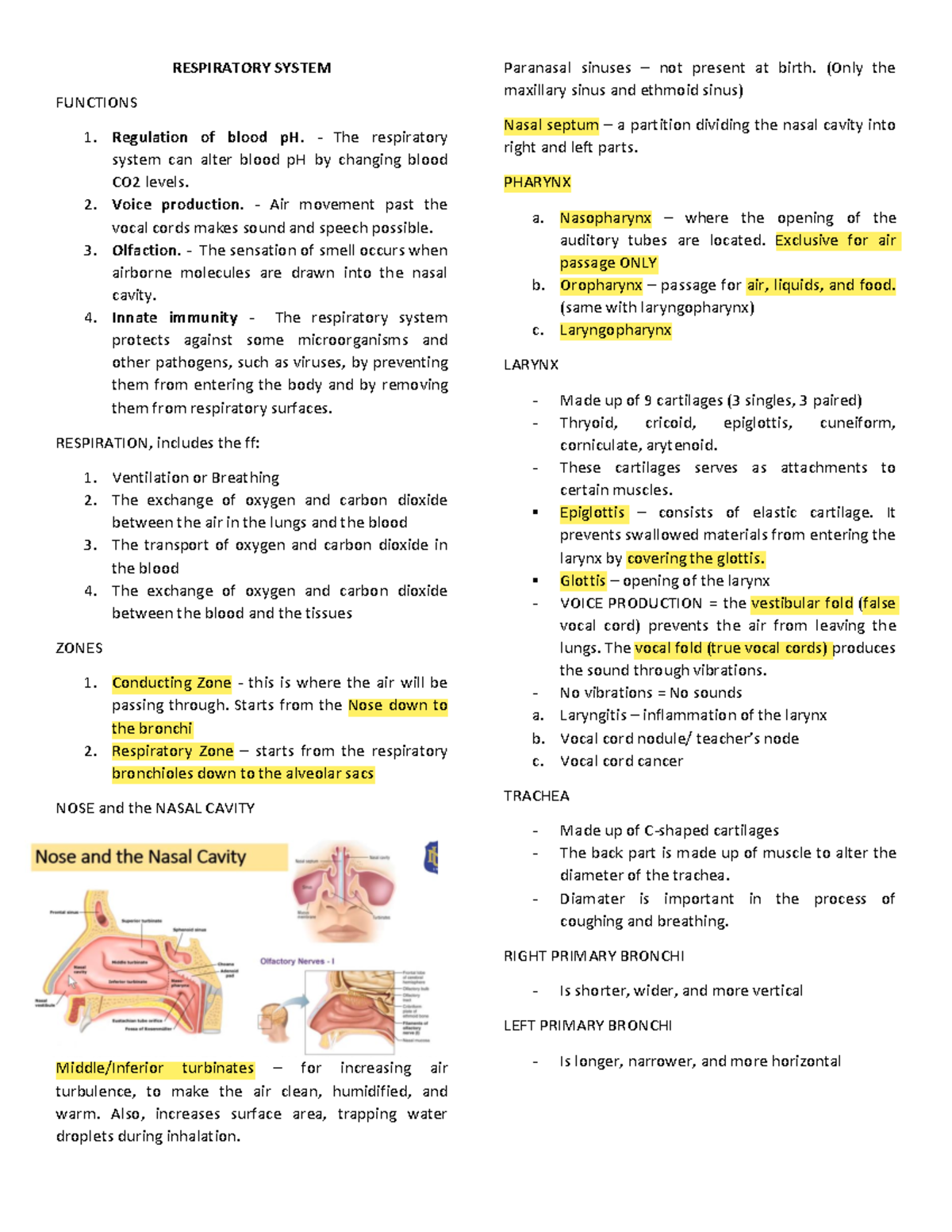 Hanaphy - finals - RESPIRATORY SYSTEM FUNCTIONS Regulation of blood pH ...