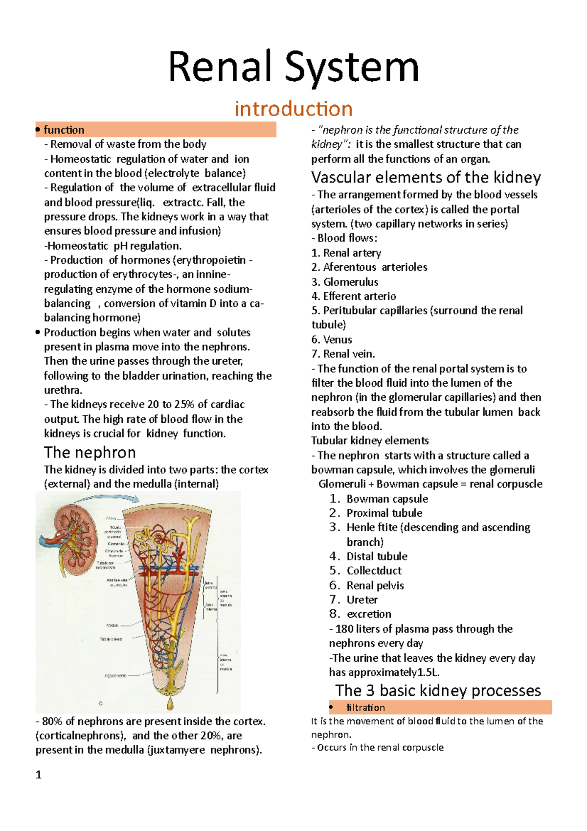 Renal System - Anatomy & Physiology Lab - Renal System Introduction 