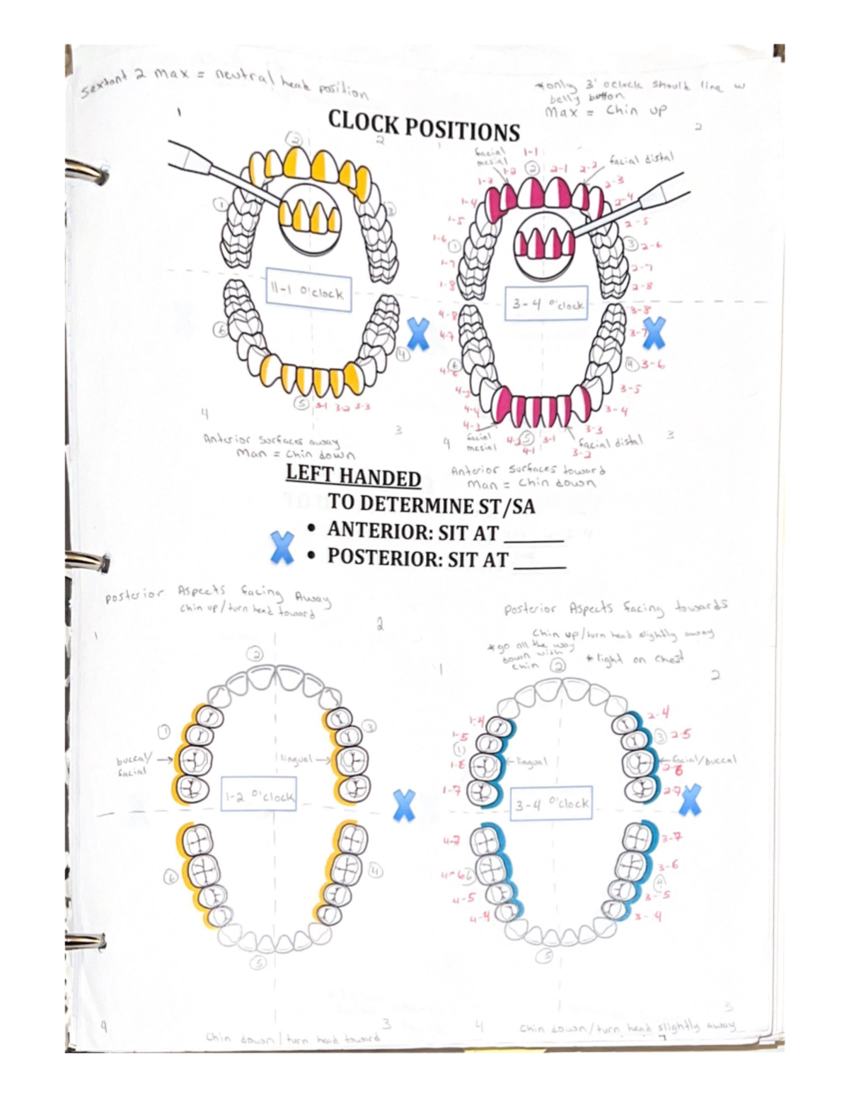 Clock Positions notes 1001 Studocu