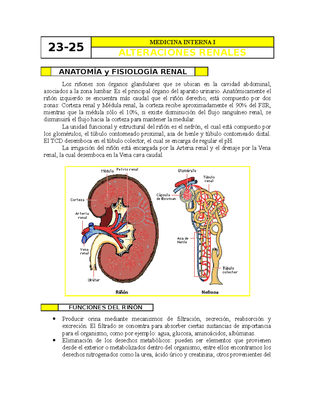 dioctophyma renale tratamiento en perros