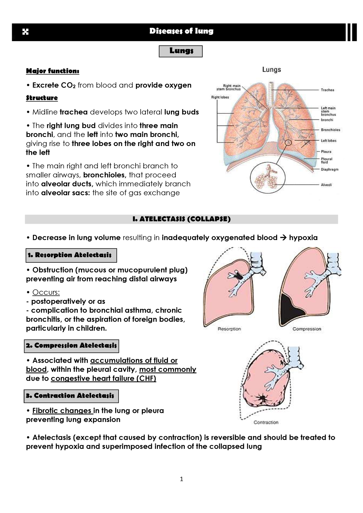 Patho lung diseases. - 1 Diseases of lung Lungs Major function: Excrete ...