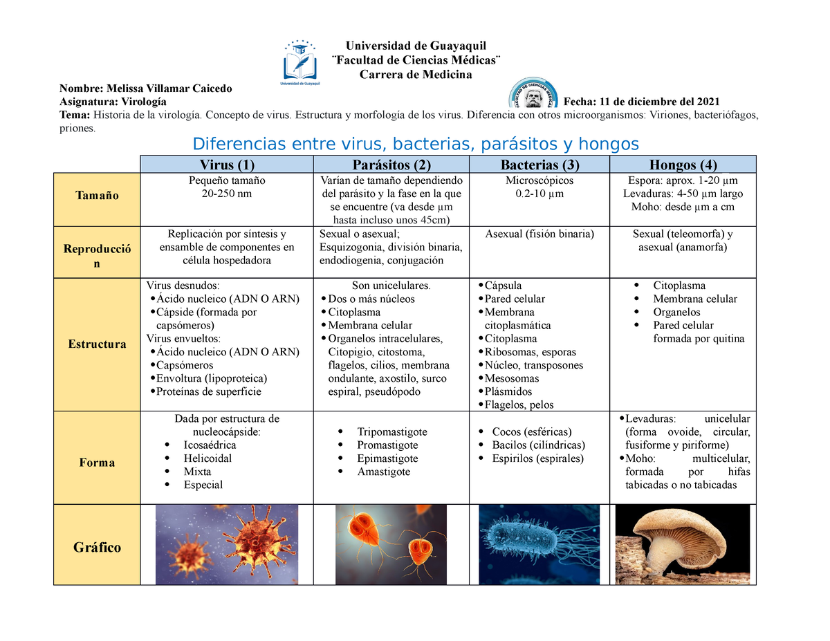 Cuadro Comparativo De Virus Bacteria Parasitos Y Hongos Esquemas Y