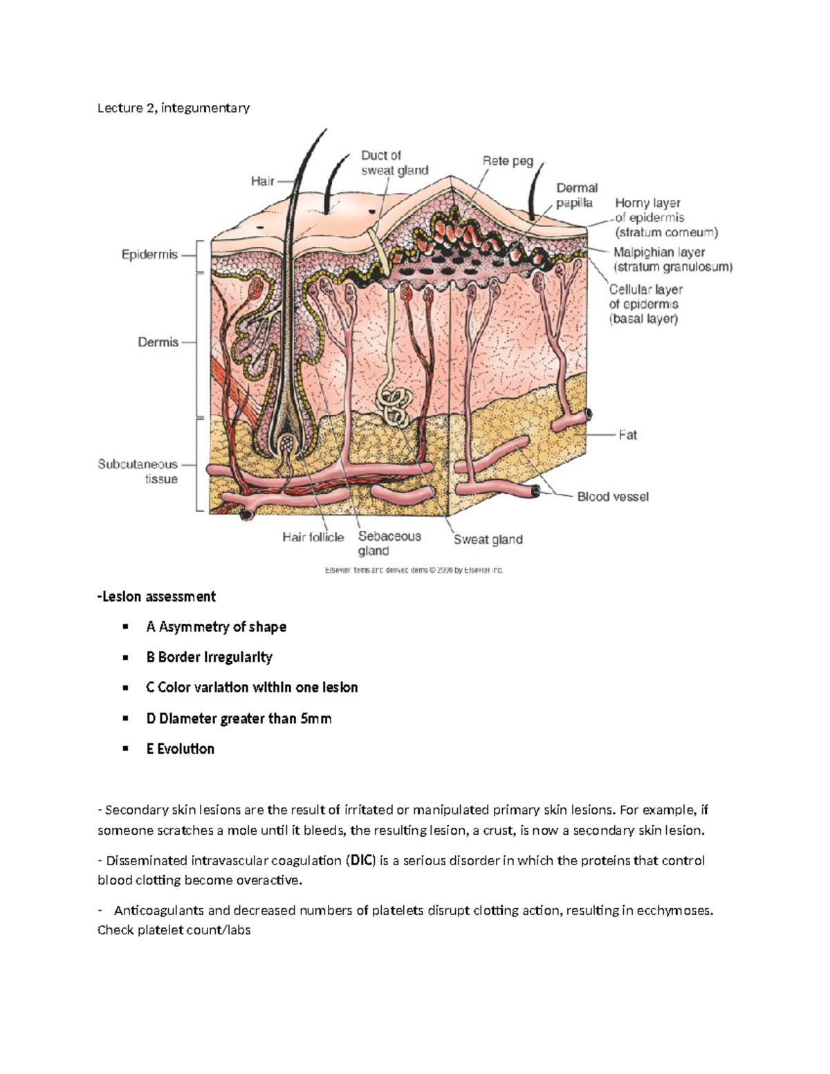 Lecture 2 Integumentary - Lecture 2, integumentary -Lesion assessment A ...