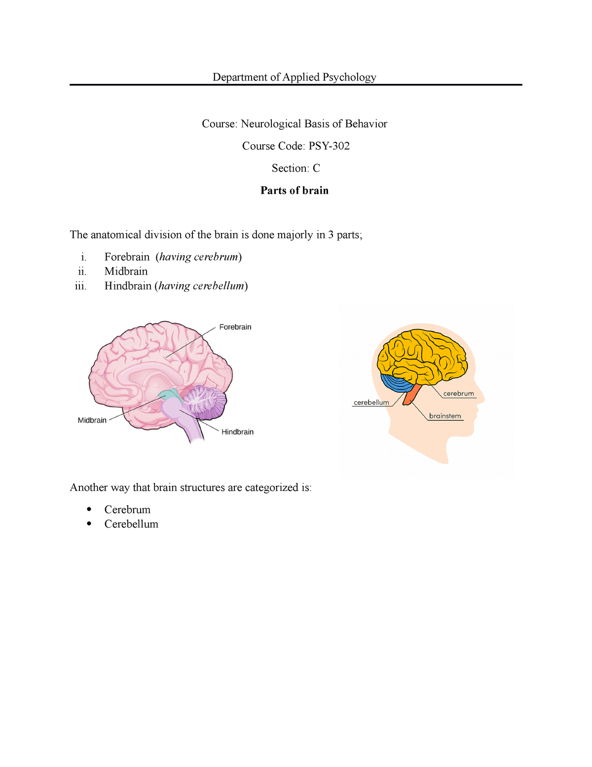 Brain Anatomy - Department Of Applied Psychology Course: Neurological ...