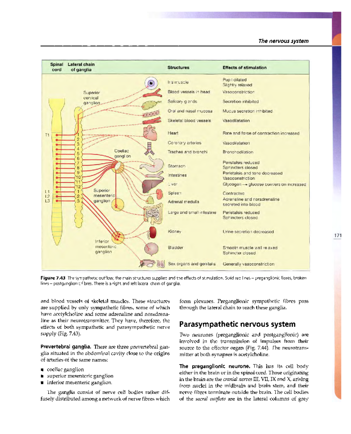 Human-Anatomy and Physiology 47 - ####### The nervous system Spinal ...