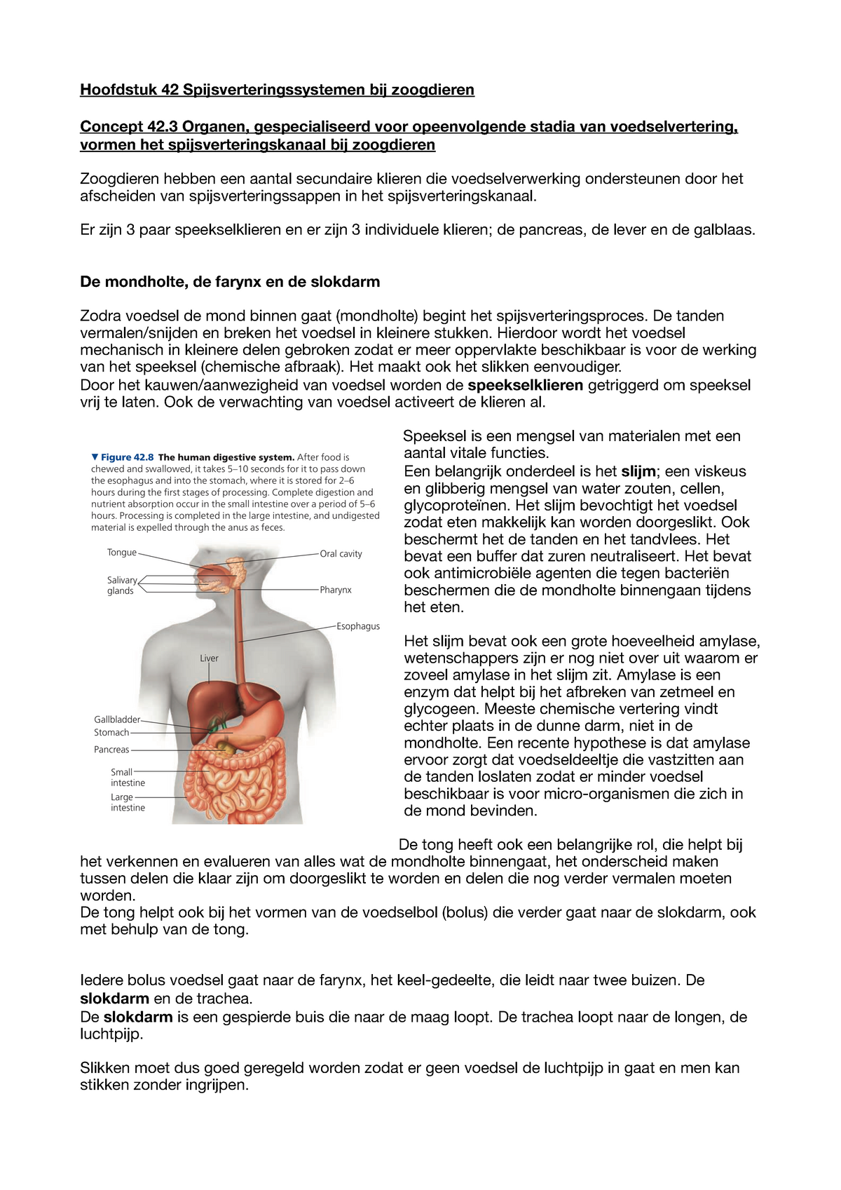 Biologie Samenvattingen Hfd 42 - Hoofdstuk 42 Spijsverteringssystemen ...