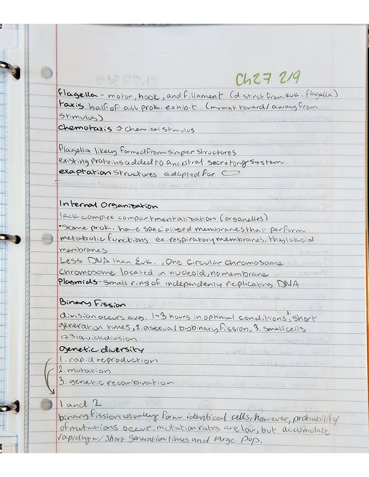 1272- Chapter 27 Bacteria and Archaea Notes PAGE 2 of 9 - BIO 1272 ...