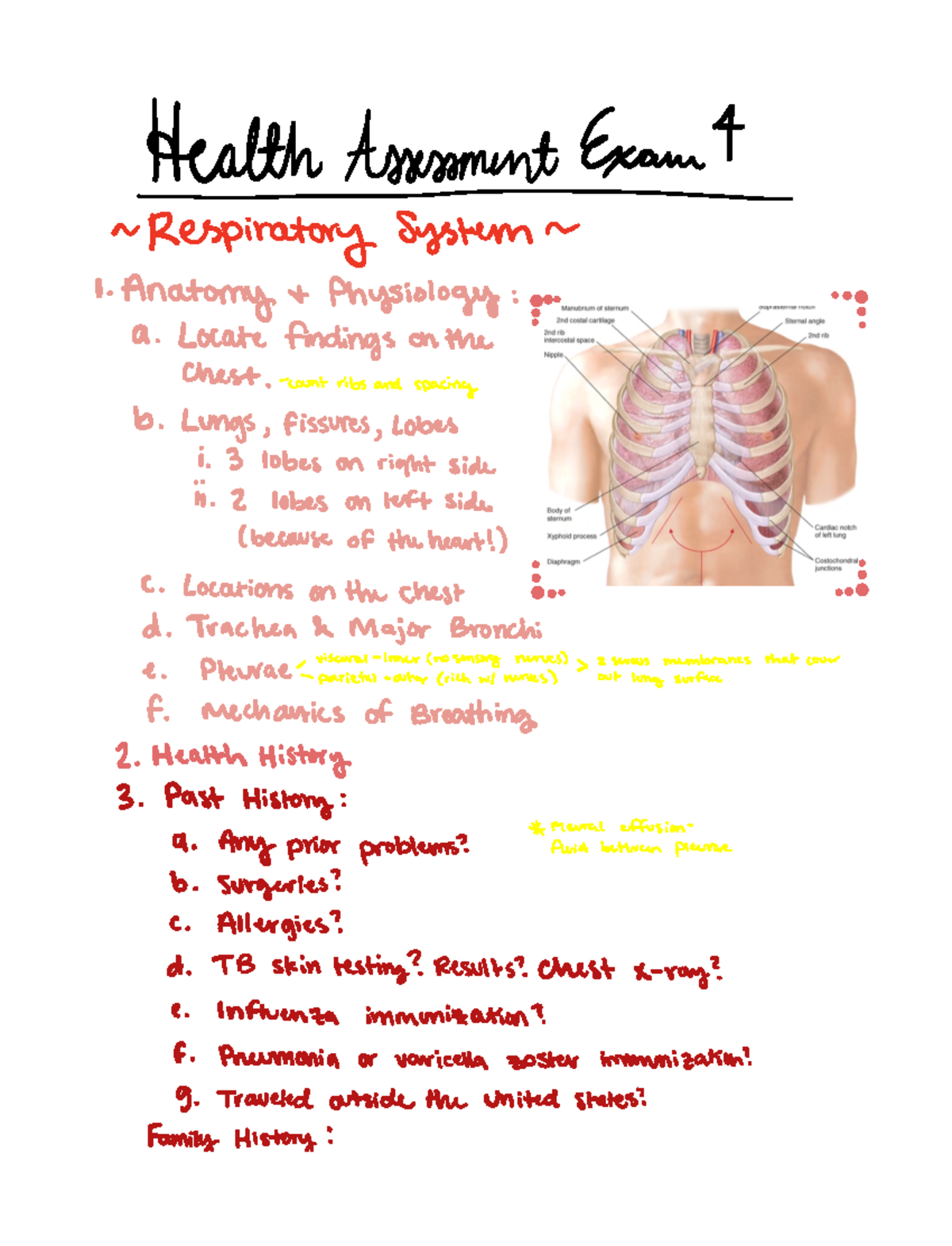 Health Assessment Respiratory System Notes - HealthAssessmentExanin ...