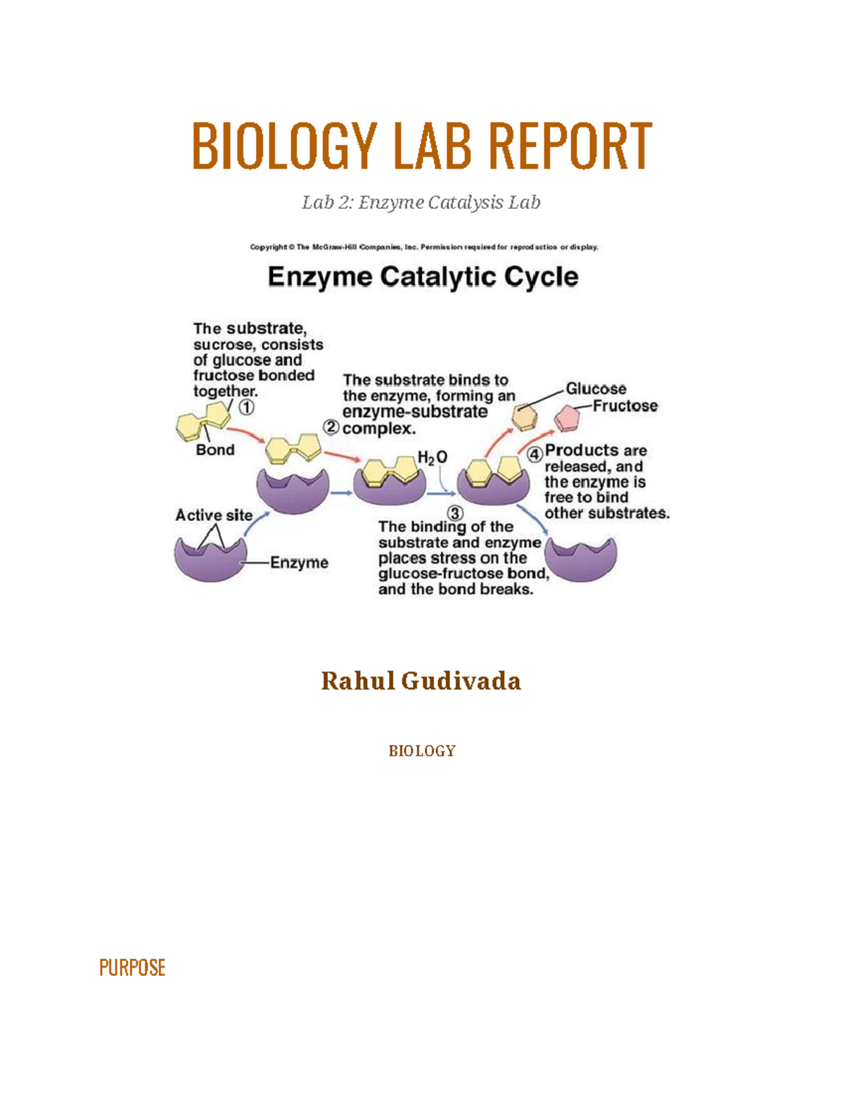 Enzyme Catalysis Lab Report - BIOLOGY LAB REPORT Lab 2: Enzyme ...