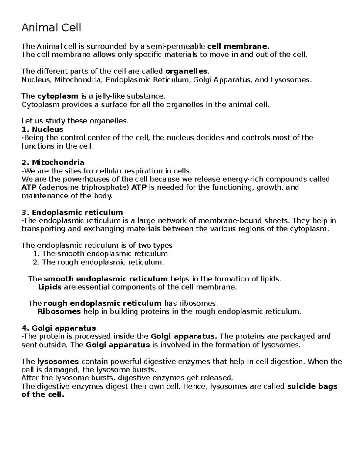 Animal Cell - nothing much - Animal Cell The Animal cell is surrounded ...