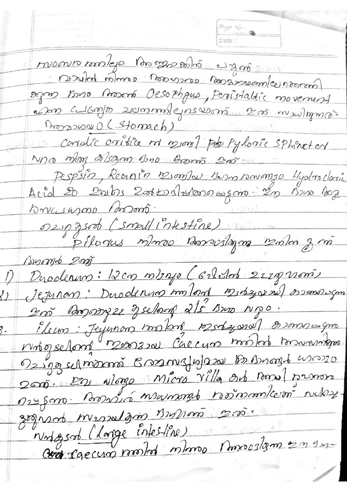 Ayurvedha panchakarma notes - Nursing - Studocu