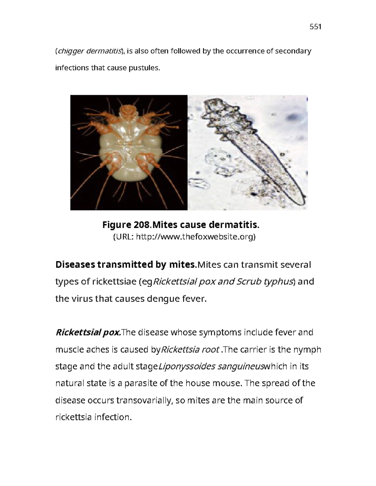Medical Anatomy and Motrphology 5160 ( chigger dermatitis), is