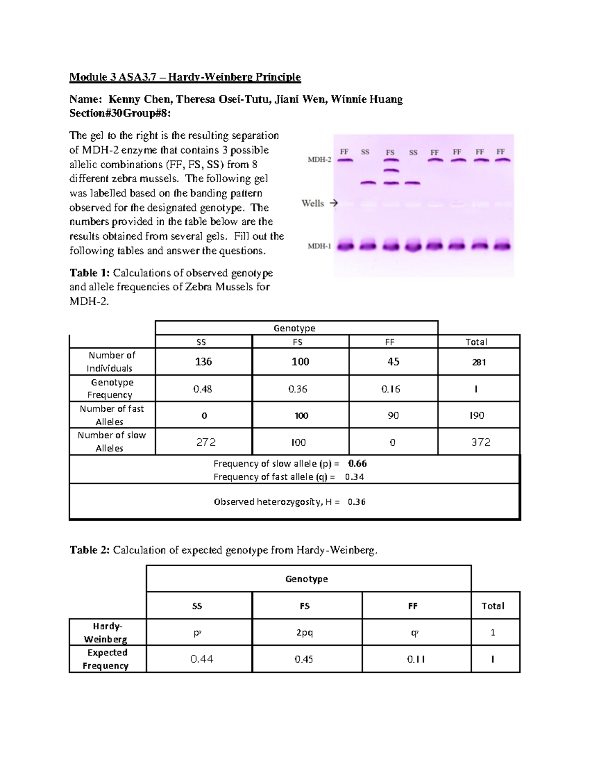 ASA3 - Lab report - Module 3 ASA3 – Hardy-Weinberg Principle Name ...