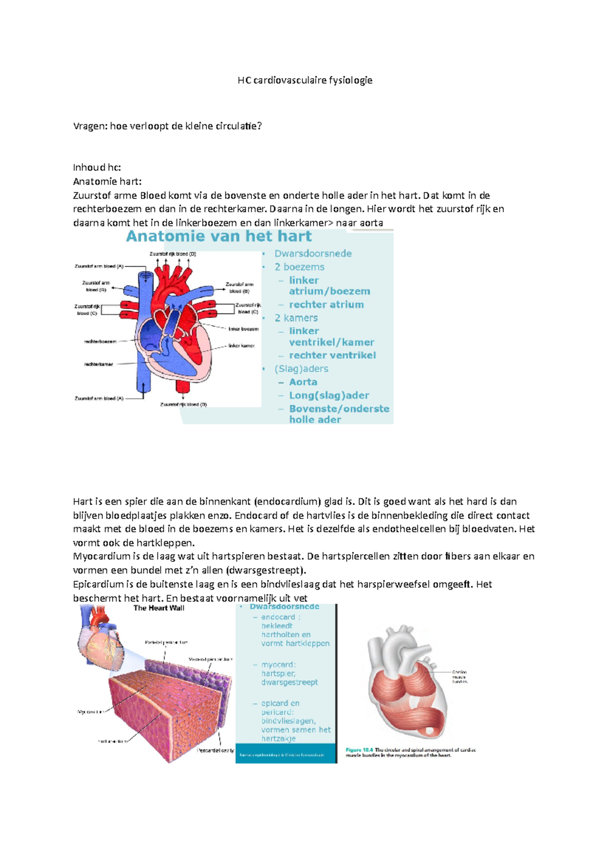 Circulatie - College Aandoeningen - HC Cardiovasculaire Fysiologie ...