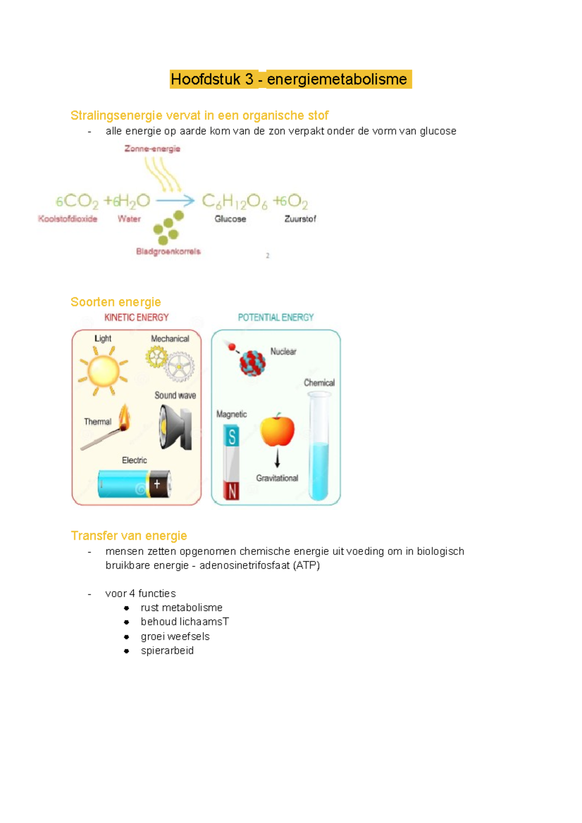 Hoofdstuk 3 - Samenvatting - Hoofdstuk 3 - Energiemetabolisme ...