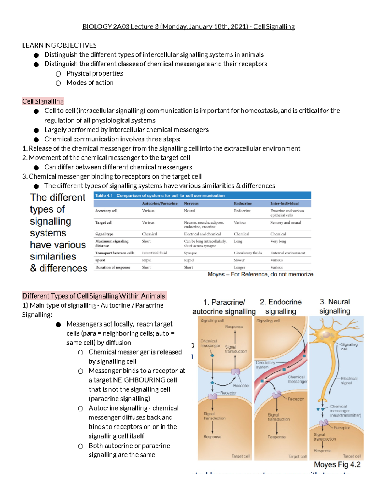 Cell Signalling - Lecture notes 4 - BIOLOGY 2A03 Lecture 3 (Monday ...