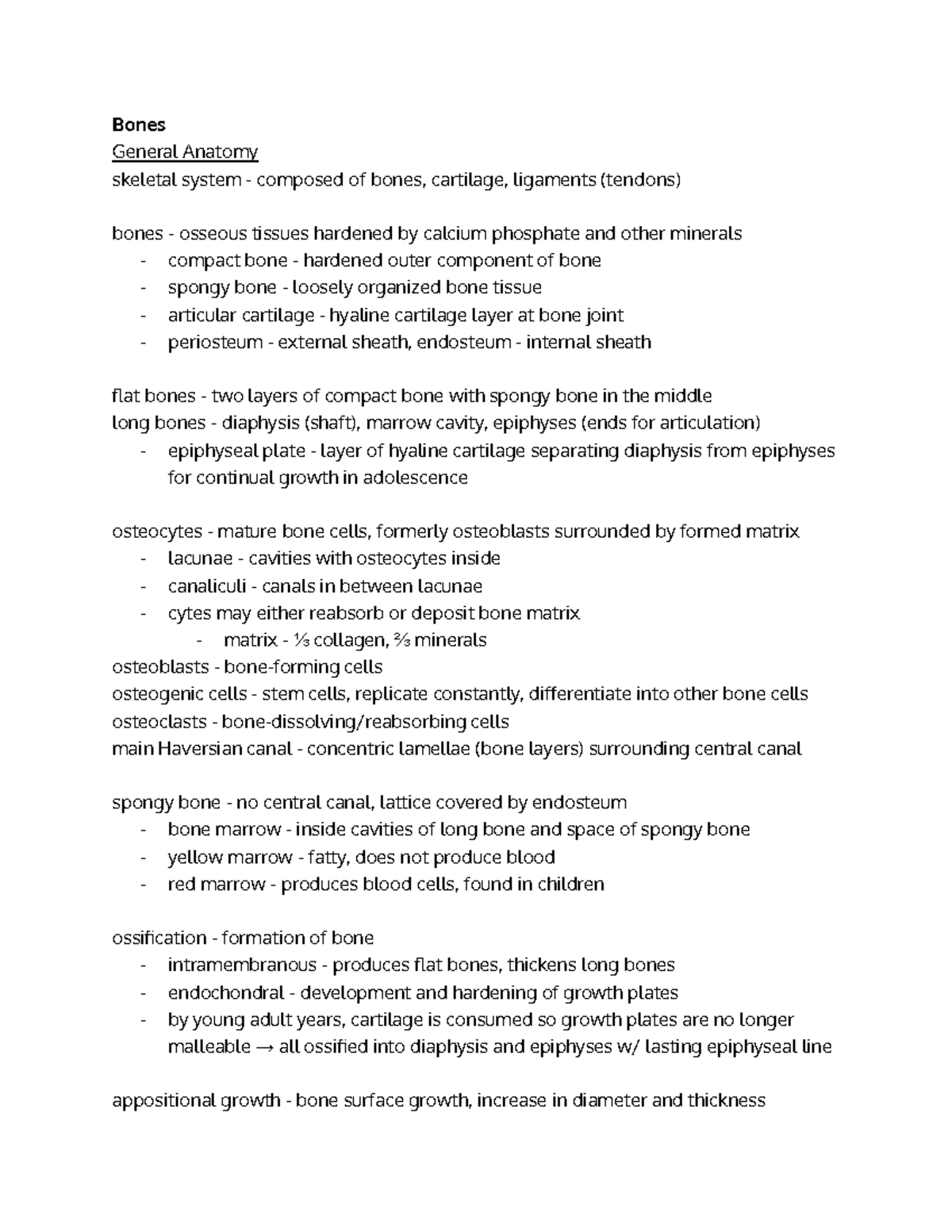 ERAU BIO 305 Bone Tissue [Chapter 7] Notes - Bones General Anatomy ...