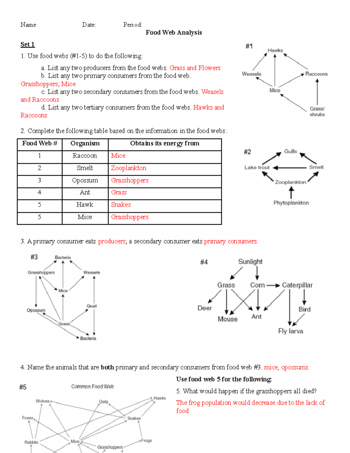 food web analysis activity answer key