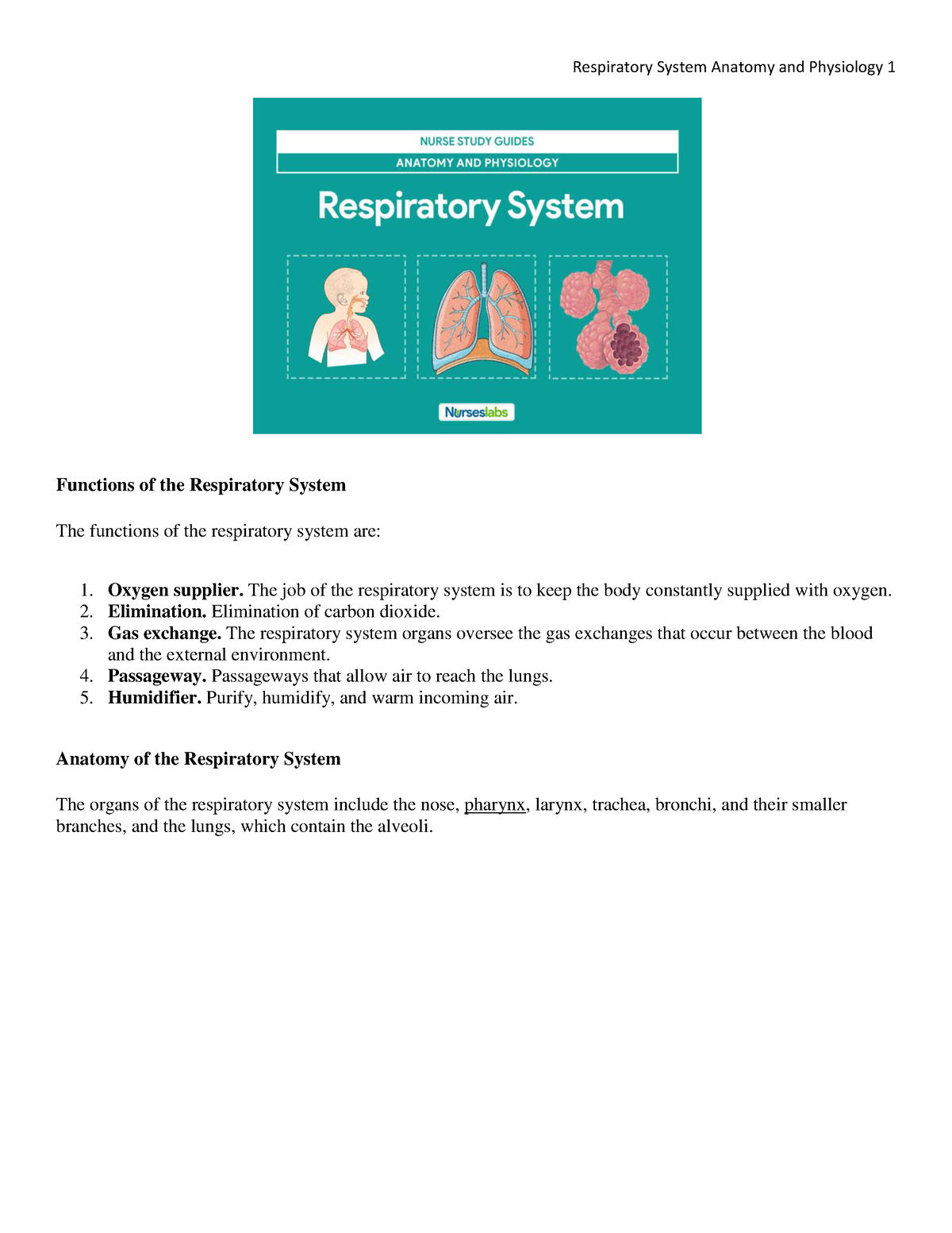 nurseslabs-respiratory-system-anatomy-and-physiology-docx-functions