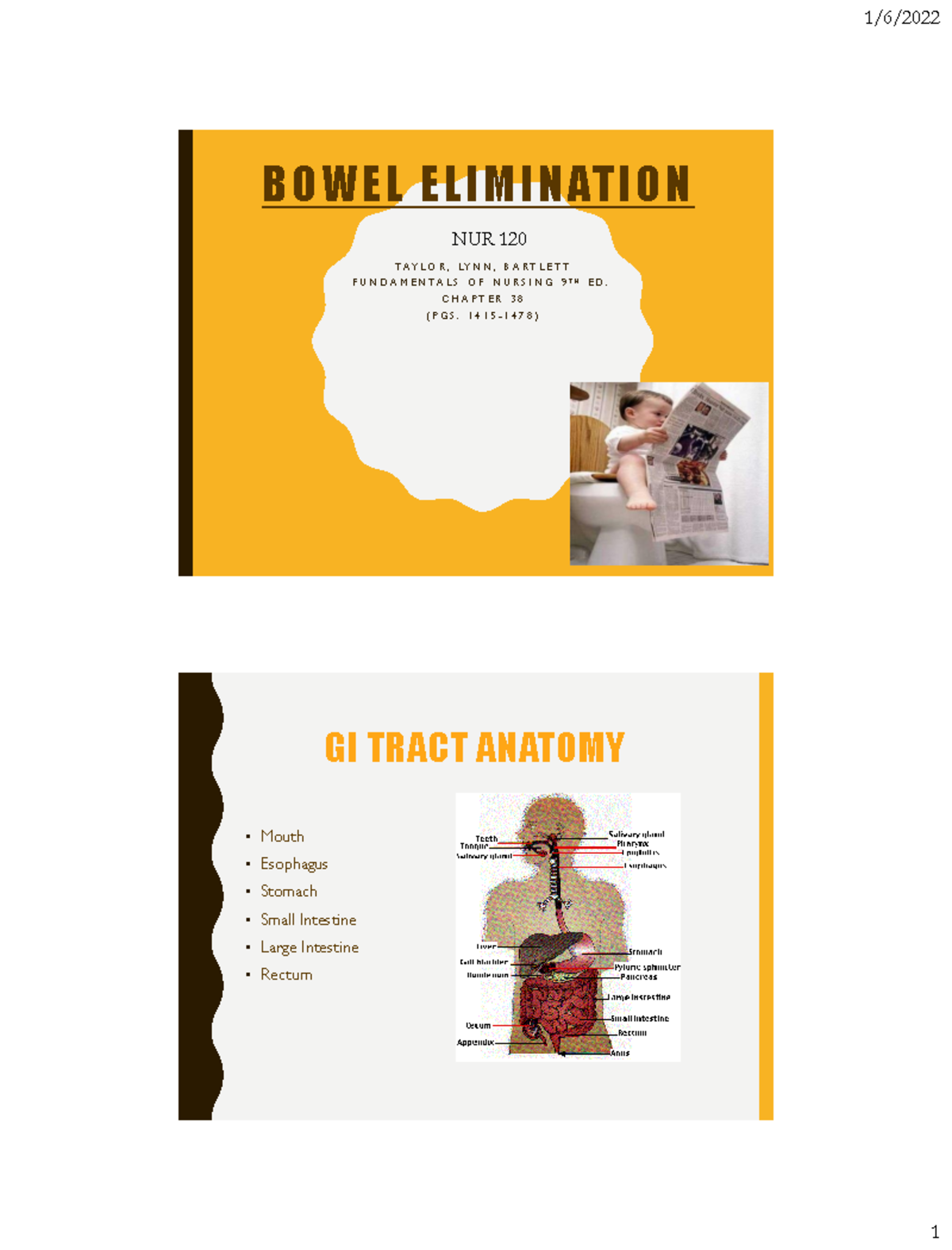 Week 7 Bowel Elimination B O W E L E L I M I N AT I O N T A Y L O R