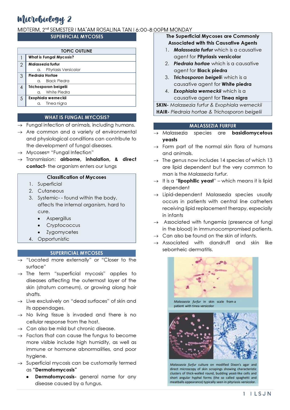 Superficial Mycoses Trans 1 - MIDTERM, 2nd SEMESTER | MA’AM ROSALINA ...