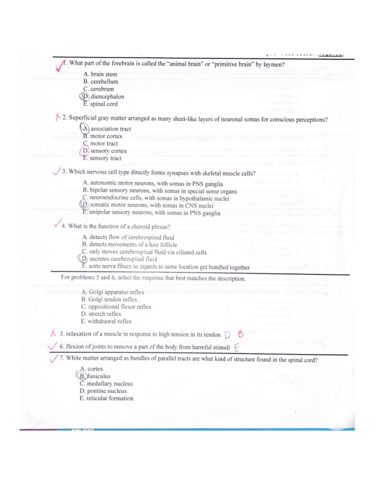 Bio 210 Practice - BIO-210-001 - Studocu