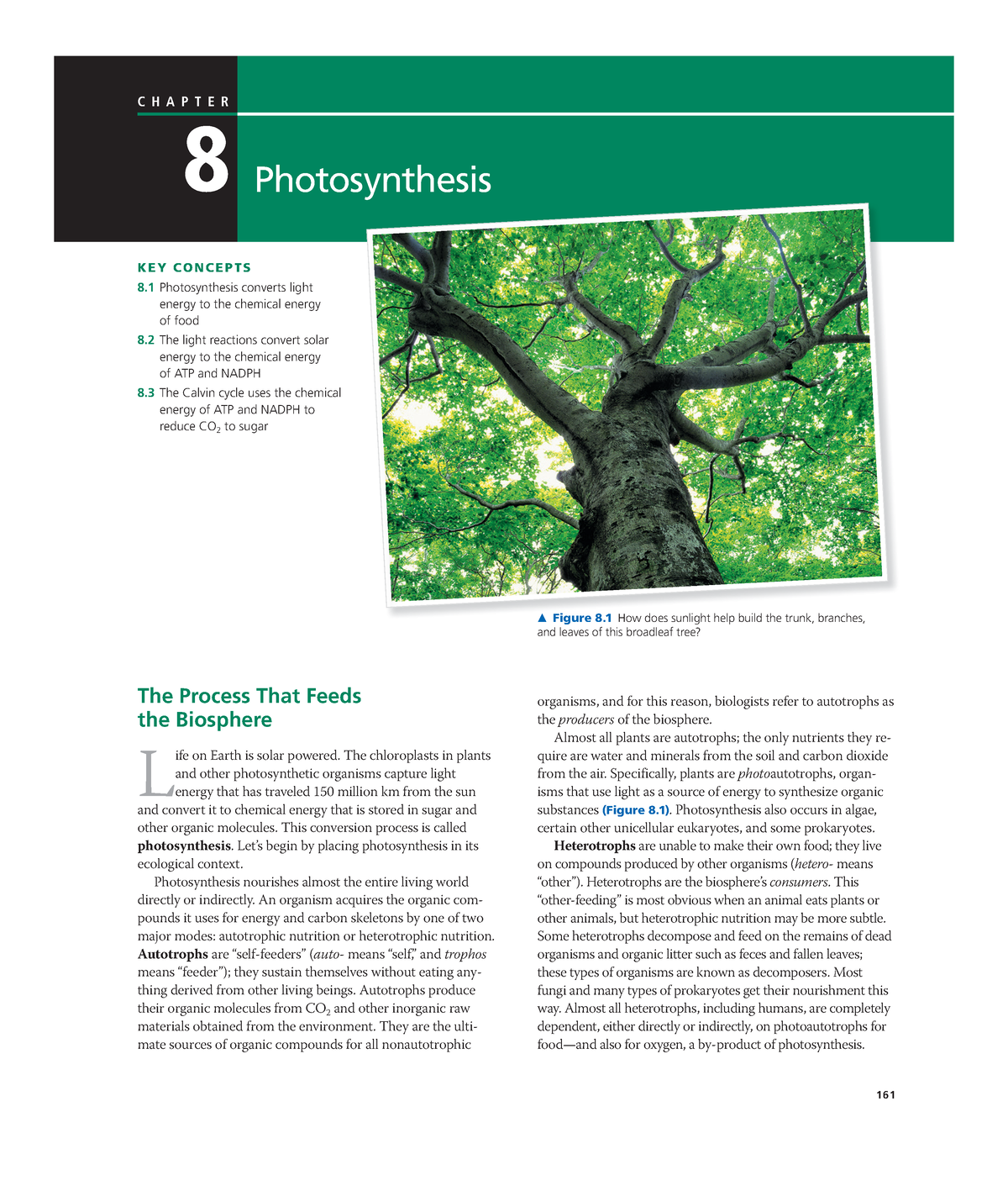 ch8photosynthesis-chapter-8photosynthesis-8-photosynthesis-figure-8