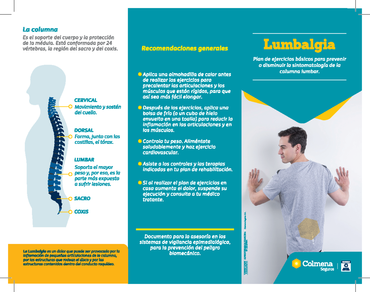 Folleto Espalda - Seguridad y salud en el trabajo en el contexto ...