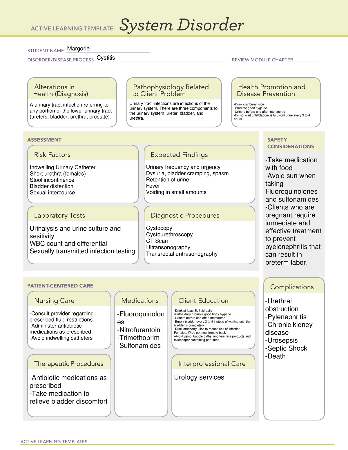 ATI System Disorder Cystitis template ACTIVE LEARNING TEMPLATES