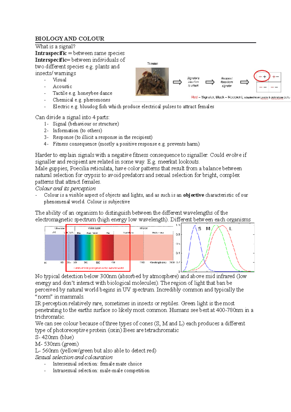 THe biology of colour notes - BIOLOGY AND COLOUR What is a signal ...