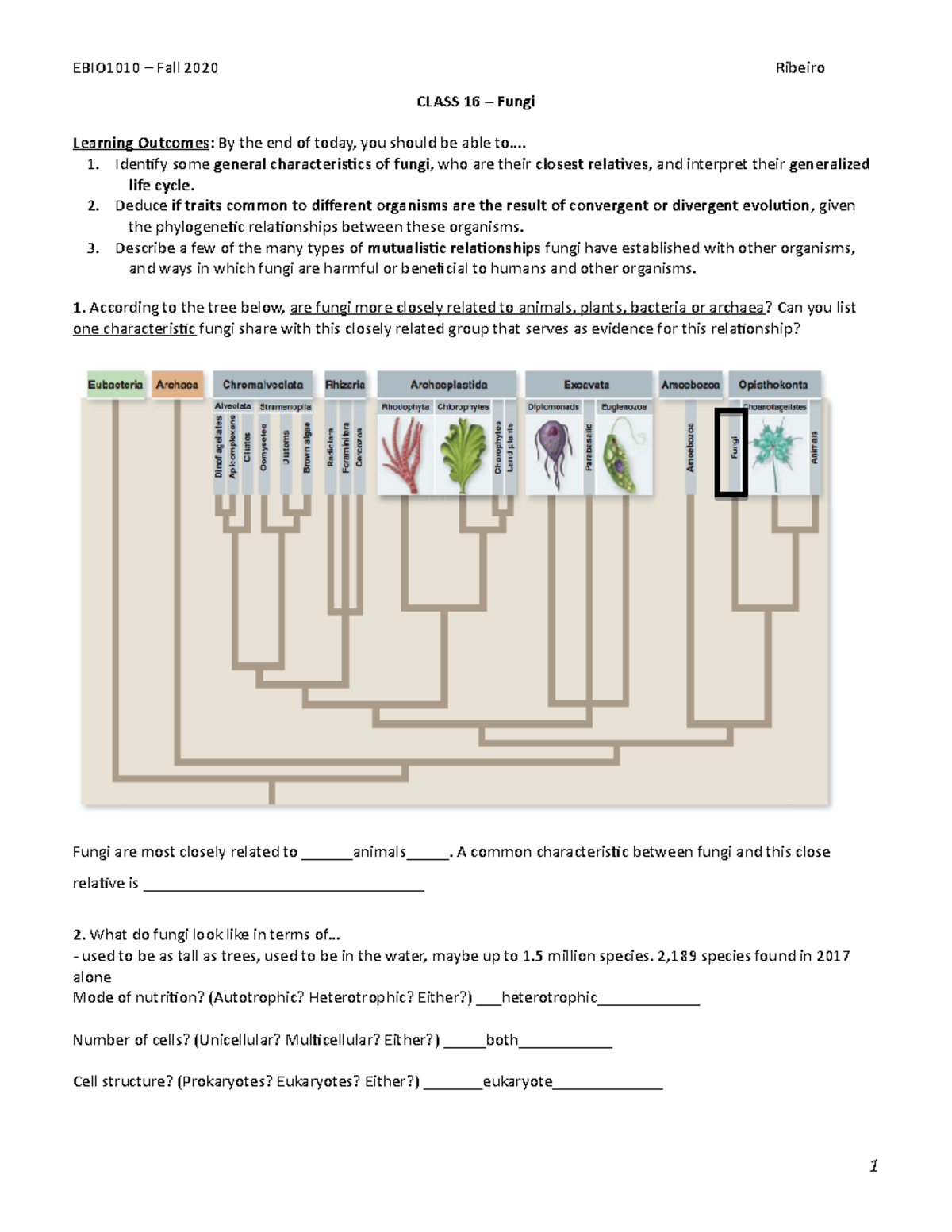 Class 16 – Handout - Ebio1010 – Fall 2020 Ribeiro Class 16 – Fungi 