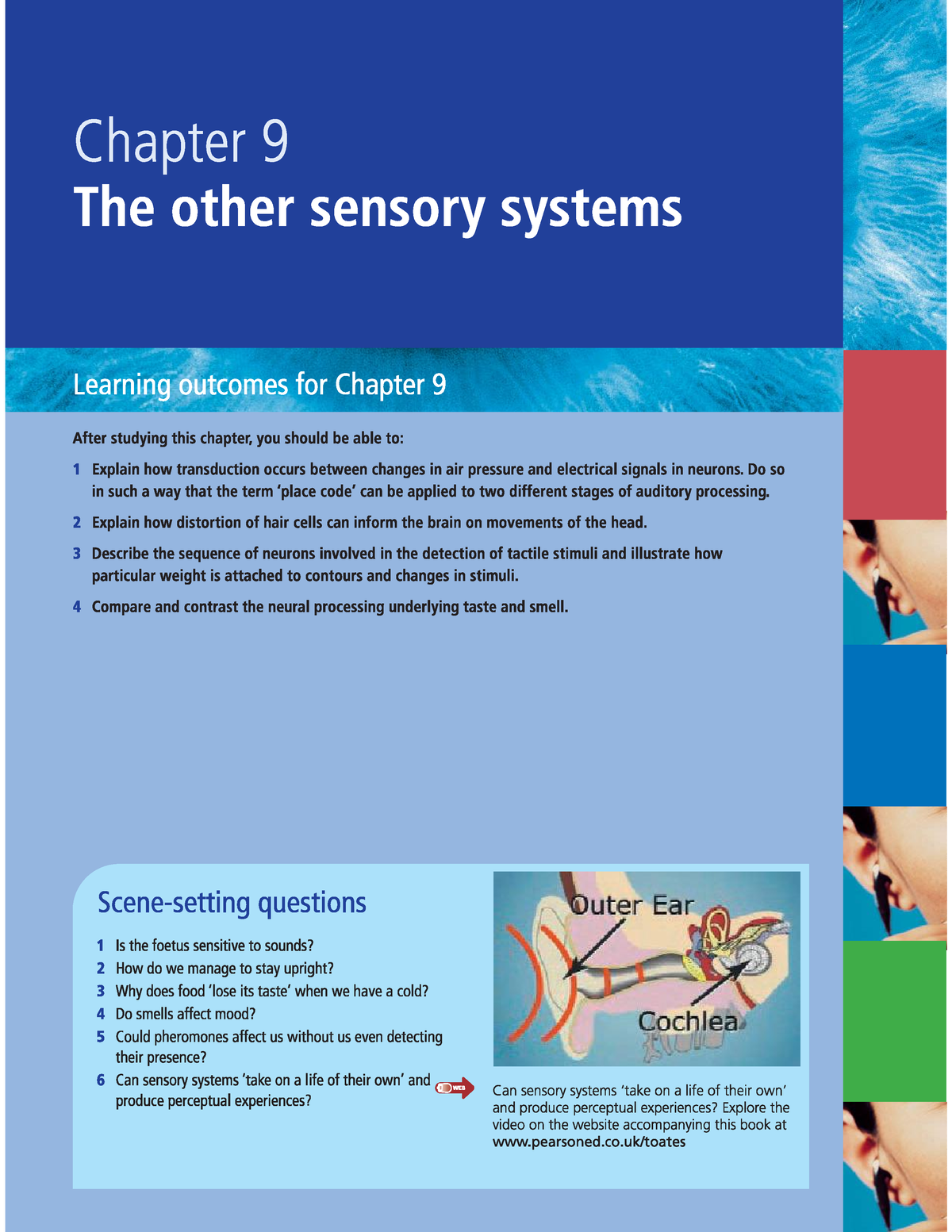 The Other Sensory Systems - Biopsikologi - - Studocu