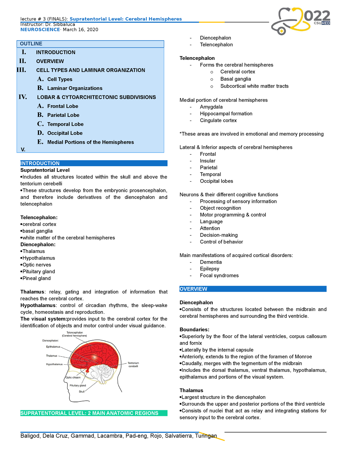 Chapter-19- Supratentorial - Instructor: Dr. Sibbaluca NEUROSCIENCE ...